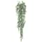 2.5ft. Green Hanging Mini Leaf Eucalyptus Bushes, 2ct.